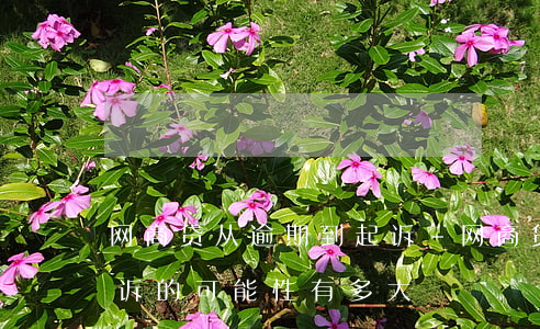 网商贷从逾期到起诉-网商贷逾期两年被起诉的可能性有多大