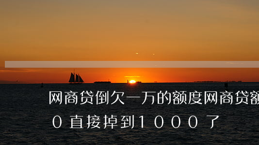 网商贷倒欠一万的额度(网商贷额度10000直接掉到1000了)