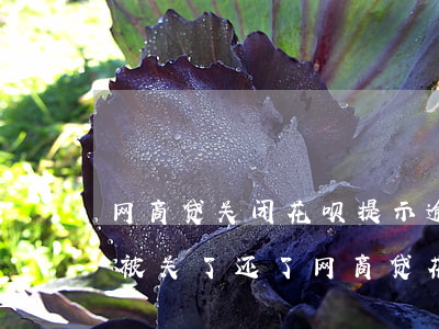 网商贷关闭花呗提示逾期(网商贷逾期后花呗被关了 还了网商贷花呗会恢复吗)