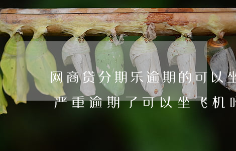 网商贷分期乐逾期的可以坐飞机吗-分期乐严重逾期了可以坐飞机吗?