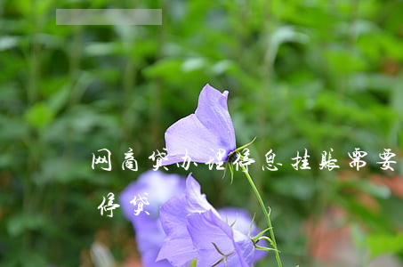 网商贷办理停息挂账需要什么资料-网商贷停贷