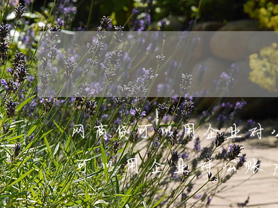 网商贷可以用企业对公账户还款么-网商贷可以用企业对公账户还款么吗
