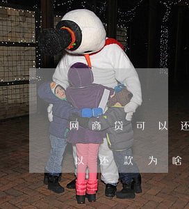 网商贷可以还款为啥借不了款了-网商贷可以还款为啥借不了款了呢