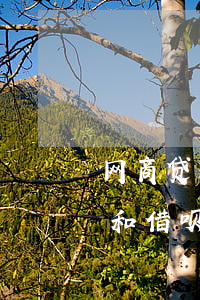 网商贷和借呗同时逾期先还哪个好-网商贷和借呗逾期哪个严重