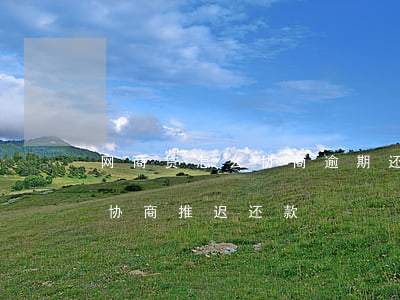网商贷怎么协商逾期还款(网商贷还不上怎么协商推迟还款)