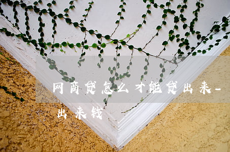 网商贷怎么才能贷出来-网商贷怎么才能贷出来钱