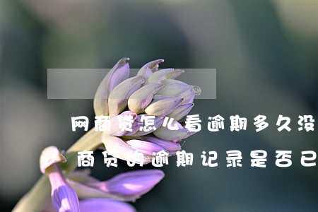 网商贷怎么看逾期多久没上征信，如何查看网商贷的逾期记录是否已上报至征信系统？