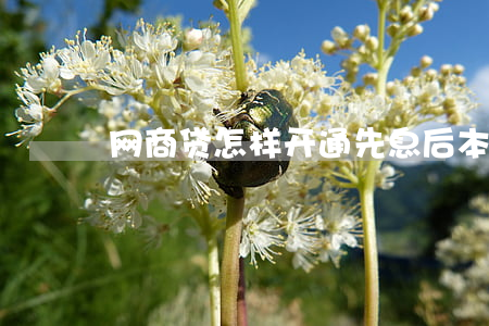 网商贷怎样开通先息后本还款吗-