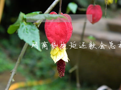 网商贷拖延还款会怎样（网商贷滞纳金怎么算）