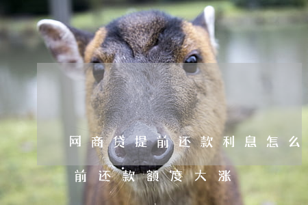 网商贷提前还款利息怎么变高了-网商贷提前还款额度大涨