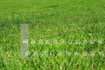 网商贷提前还款后还能再贷款吗-网商贷提前还款后还能再贷款吗知乎
