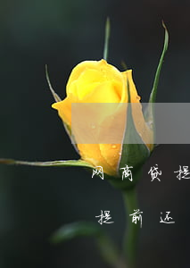 网商贷提前还款还可以再借出来吗-网商贷提前还款还可以再借出来吗安全吗