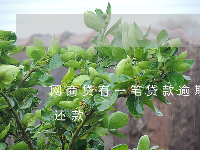 网商贷有一笔贷款逾期(网商贷逾期无法单笔还款)
