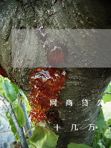 网商贷欠14万无力偿还怎么办-欠网商贷十几万
