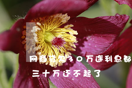 网商贷欠30万连利息都还不上了-网商贷三十万还不起了