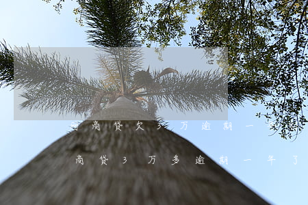网商贷欠3万逾期一年利息是多少-欠了网商贷3万多,逾期一年了,会坐牢吗