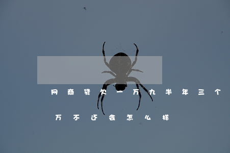 网商贷欠一万九半年三个月没还(网商贷欠两万不还会怎么样)
