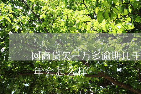 网商贷欠一万多逾期几千(网商贷五千逾期一年会怎么样)