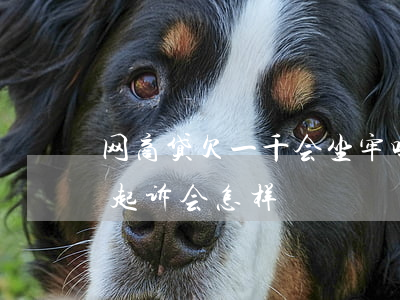 网商贷欠一千会坐牢吗(网商贷欠款1万多 被起诉会怎样)