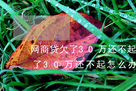 网商贷欠了30万还不起怎么办-网商贷欠了30万还不起怎么办呢