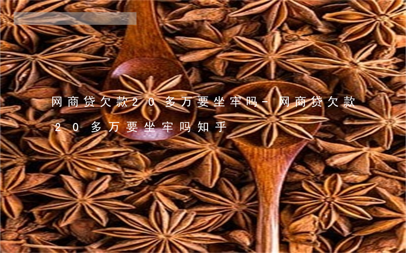 网商贷欠款20多万要坐牢吗-网商贷欠款20多万要坐牢吗知乎