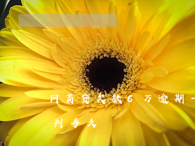 网商贷欠款6万逾期一年多(网商贷欠款五万判多久)