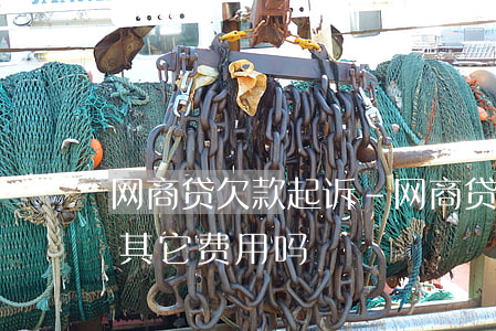 网商贷欠款起诉-网商贷起诉后败诉要承担其它费用吗