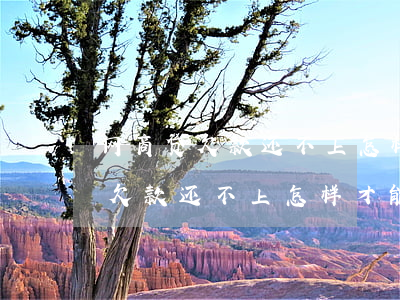网商贷欠款还不上怎样才能不起诉-网商贷欠款还不上怎样才能不起诉呢