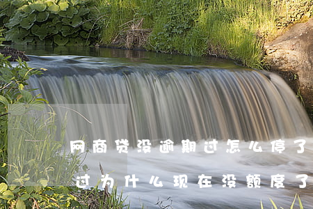 网商贷没逾期过怎么停了(网商贷从来没逾期过,为什么现在没额度了)