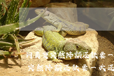 网商贷突然降额还款要一次还清么-网商贷突然降额还款要一次还清么吗