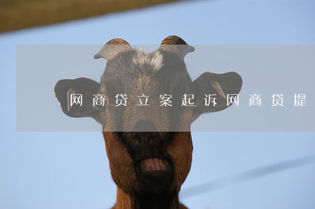 网商贷立案起诉(网商贷提起诉讼)