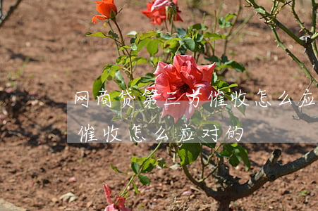 网商贷第三方催收怎么应对-网商贷第三方催收怎么应对的