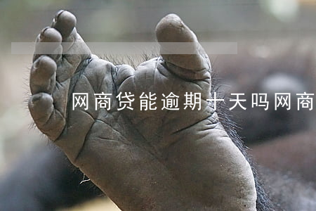 网商贷能逾期十天吗(网商贷可以逾期多久?)