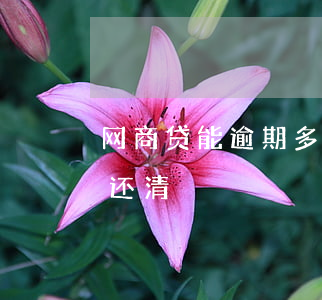 网商贷能逾期多少天还(网商贷能逾期多少天还清)