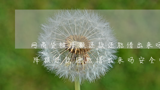 网商贷被降额还款还能借出来吗-网商贷被降额还款还能借出来吗安全吗