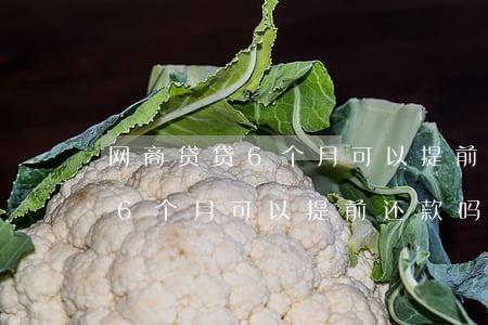 网商贷贷6个月可以提前还款吗-网商贷贷6个月可以提前还款吗