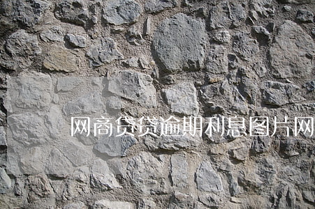网商贷贷逾期利息图片(网商贷违约金是多少)