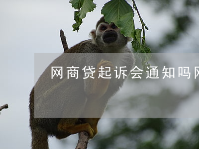 网商贷起诉会通知吗(网商贷有接到起诉的吗)