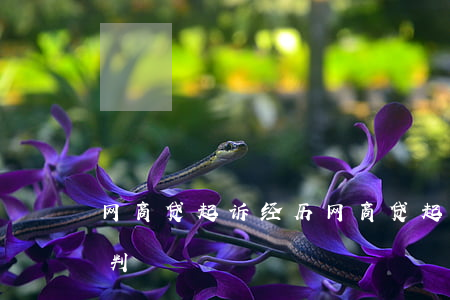 网商贷起诉经历(网商贷起诉法院需要多久宣判)