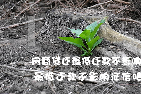 网商贷还最低还款不影响征信吧-网商贷还最低还款不影响征信吧吗