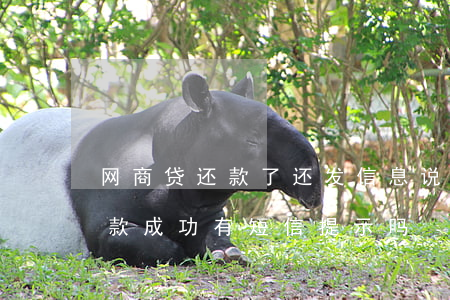 网商贷还款了还发信息说没有还-网商贷还款成功有短信提示吗