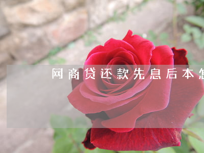 网商贷还款先息后本怎么没有了-