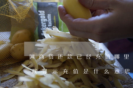 网商贷还款已经充值哪里看得到-网商贷还款显示充值是什么意思