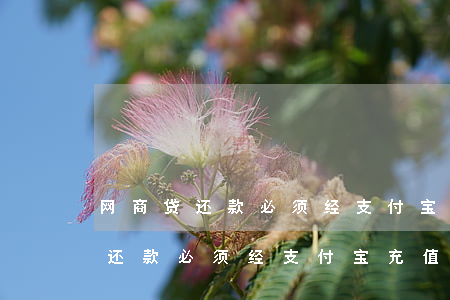 网商贷还款必须经支付宝充值还吗-网商贷还款必须经支付宝充值还吗安全吗