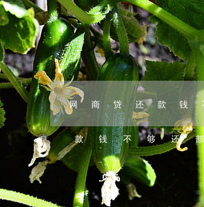 网商贷还款钱不够还部分可以吗-网商贷还款钱不够还部分可以吗怎么办