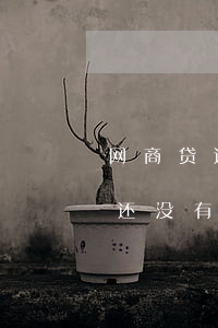网商贷还没有还款怎么就没额度了-网商贷还没有还款怎么就没额度了呢