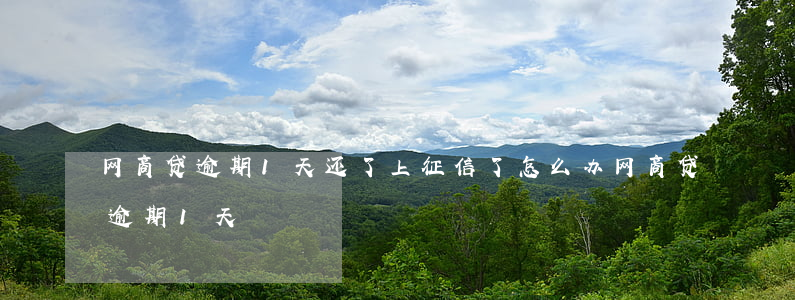 网商贷逾期1天还了上征信了怎么办（网商贷 逾期 1天）