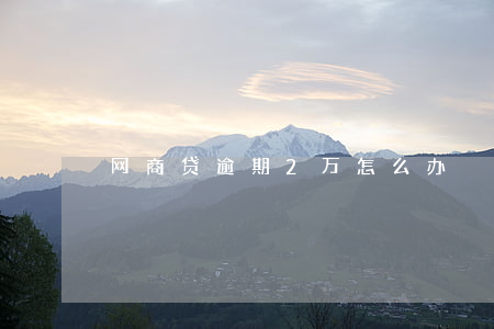 网商贷逾期2万怎么办