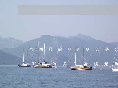 网商贷逾期30万多久会被起诉(网商贷逾期30万多久会被起诉)