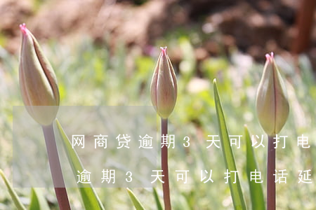 网商贷逾期3天可以打电话延期吗-网商贷逾期3天可以打电话延期吗怎么办